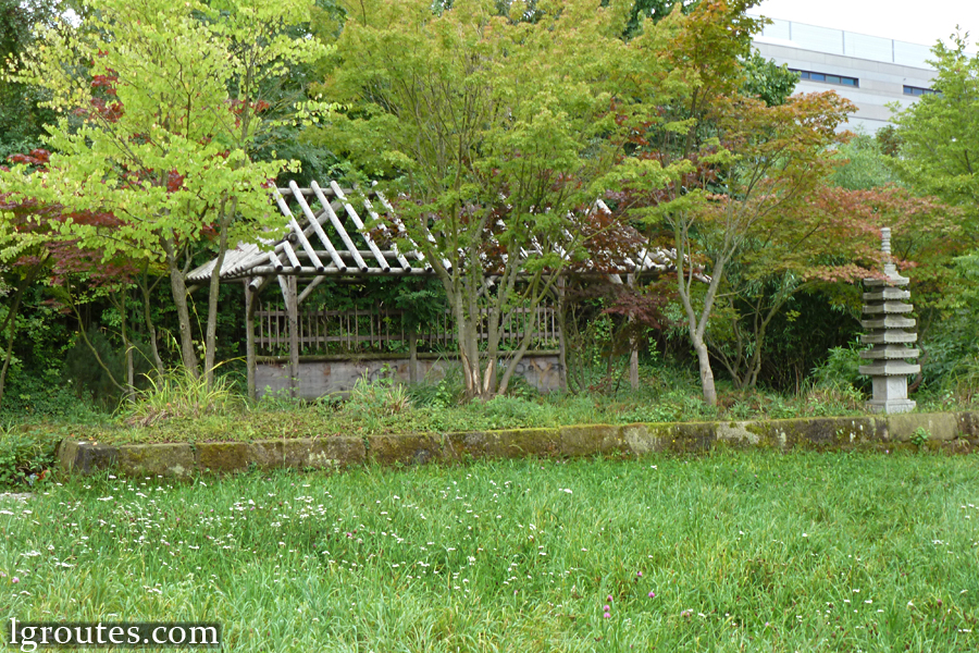японский садик