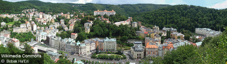 Карловы Вары панорама